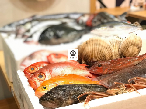魚王魚王