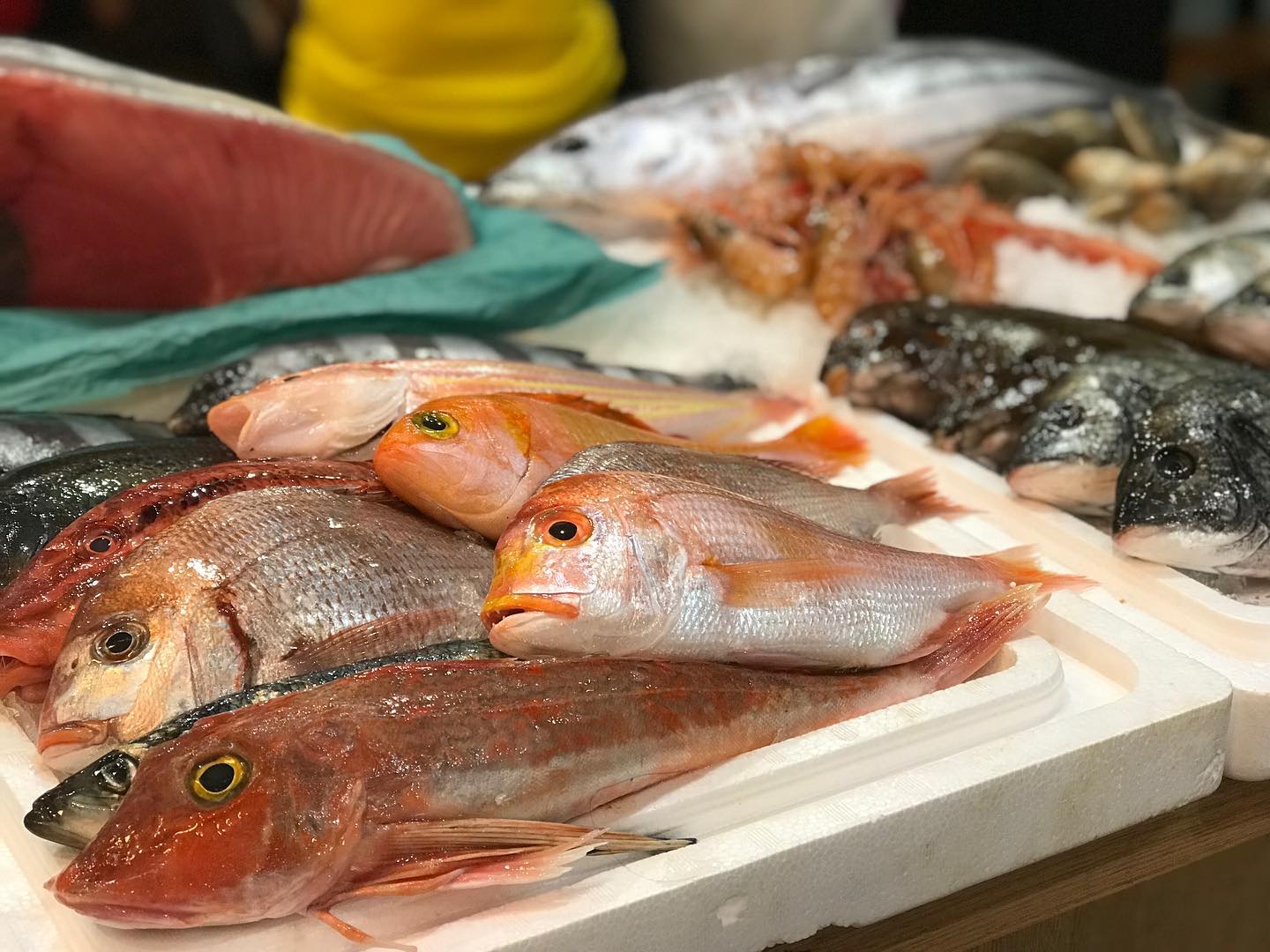 魚うおうお 魚王魚王 – SingaporeLife EC