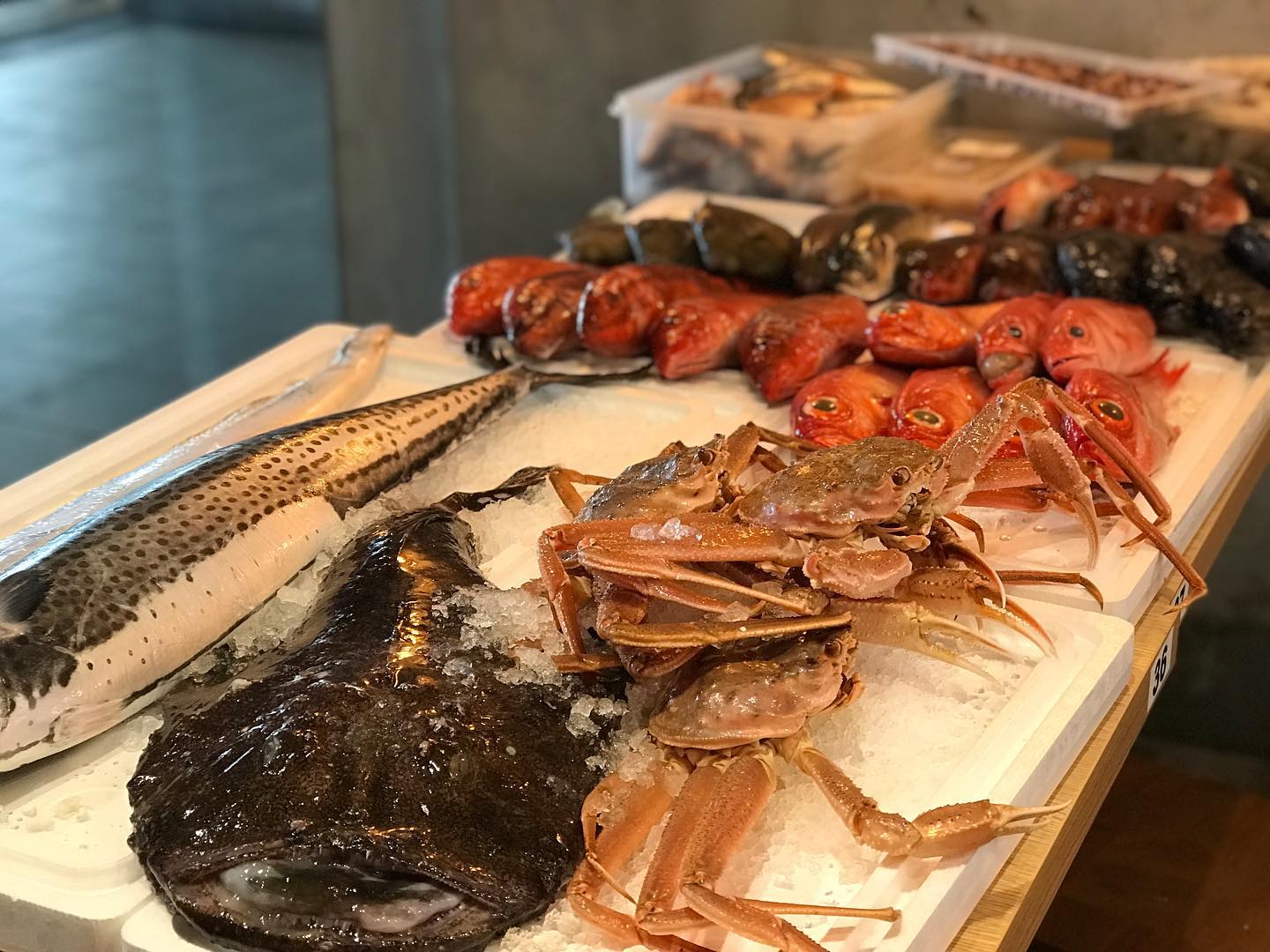 魚王魚王 – SingaporeLife EC