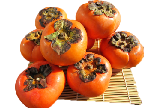 Persimmon (8P)