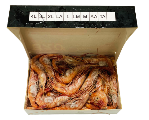 FROZEN AMAEBI 3L 1KG