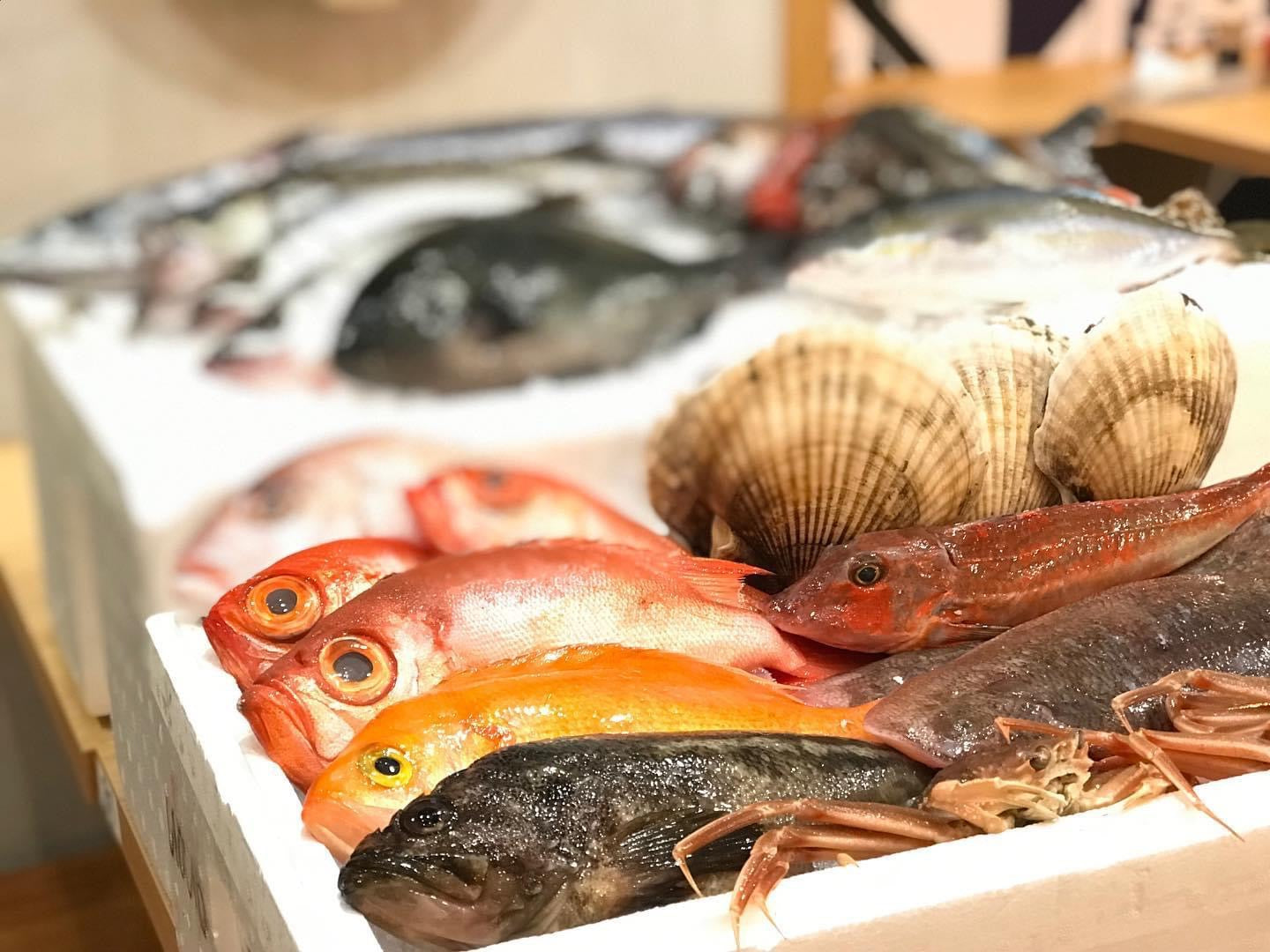魚うおうお 魚王魚王 – SingaporeLife EC