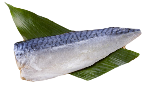 Shime mackerel